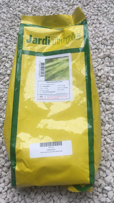 Cynodon spp. - Sahara Bermuda Grass Seeds