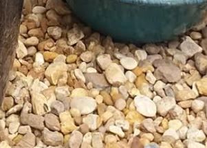White/Brown Chatt Stone 1.5 inch
