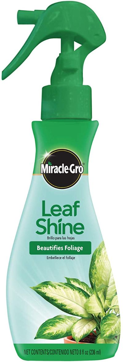 Miracle Gro Leaf Shine