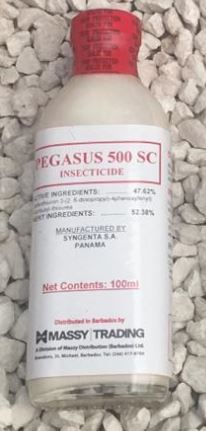 Pegasus 500 Sc 100Ml