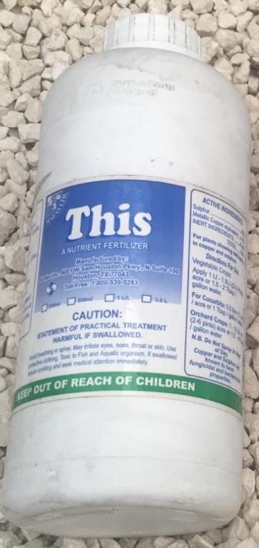 This 1lt