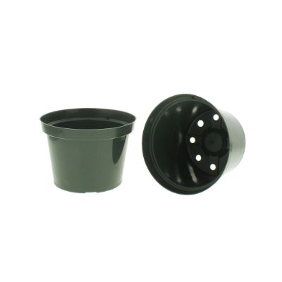 Azalea Pot