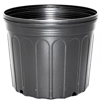 Nursery Pot