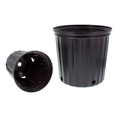 Nursery Pot