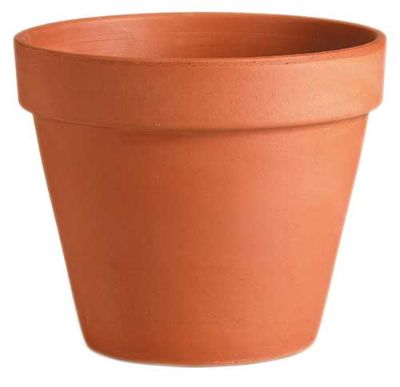 Clay Standard Pot