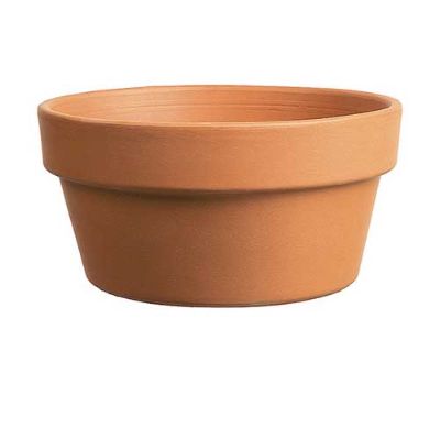 Clay Cactus Bulb Pan