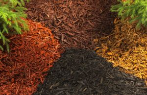 Coloured Wood Mulch