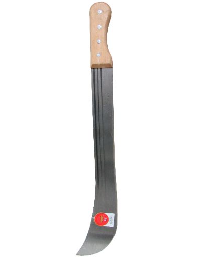 Cutlass 20' Curved