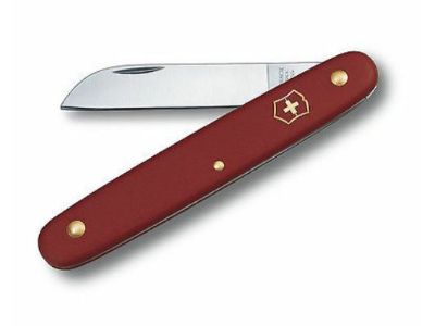 Graft Knife #39050